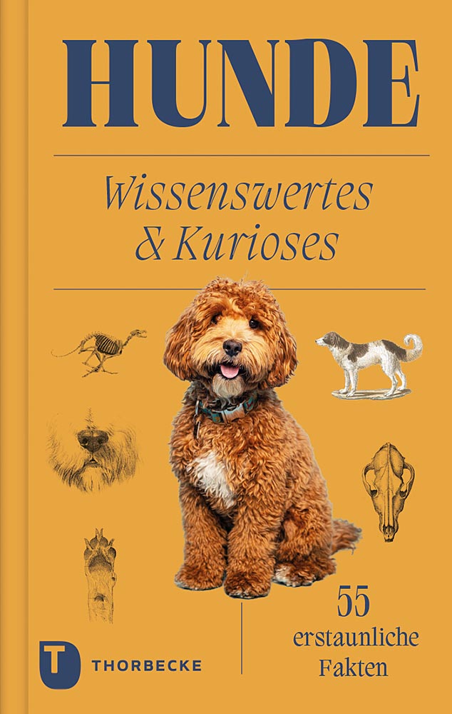 Produktabbildung: Hunde