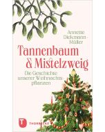 Tannenbaum und Mistelzweig