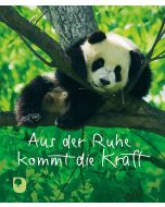 Aus der Ruhe kommt die Kraft