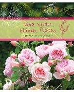 Und wieder blühen Rosen