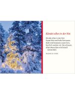 Weihnachtswald
