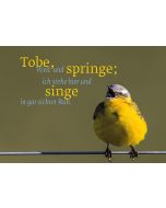 Tobe, Welt