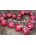 Dankbarkeit