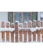 Das Christkind kommt