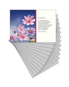 Überraschungspaket Grußkarten