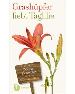 Grashüpfer liebt Taglilie