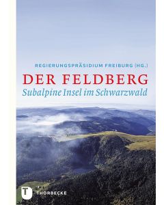 Der Feldberg