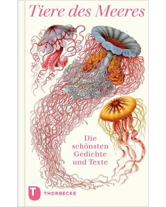 Träumereien am Seerosenteich