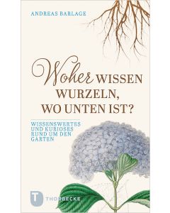 Woher wissen Wurzeln, wo unten ist?