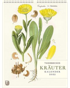 Thorbeckes Kräuter-Kalender 2025