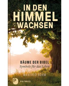 In den Himmel wachsen