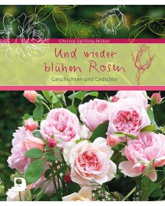 Und wieder blühen Rosen