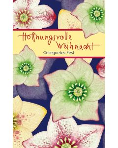 Hoffnungsvolle Weihnacht