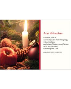 Weihnachtsapfel