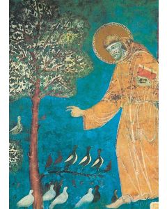 Vogelpredigt des hl. Franziskus