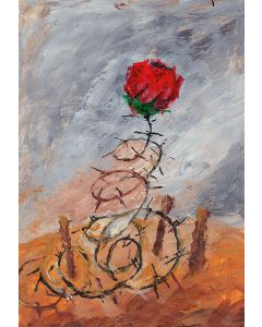 Stacheldraht und Rose