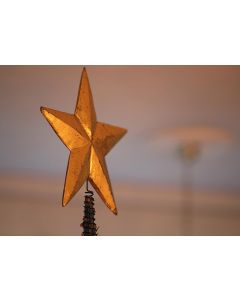 Weihnachtsstern