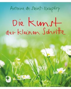 Die Kunst der kleinen Schritte