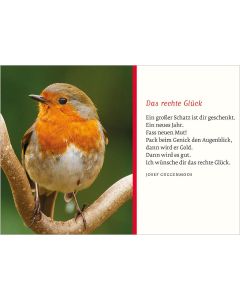 Rotkehlchen