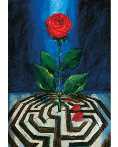 Rose und Labyrinth