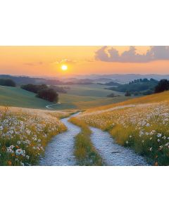 Wiesenweg