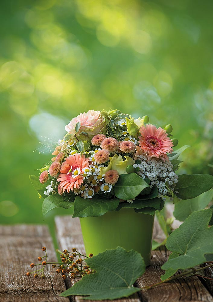 Produktabbildung: Gerbera