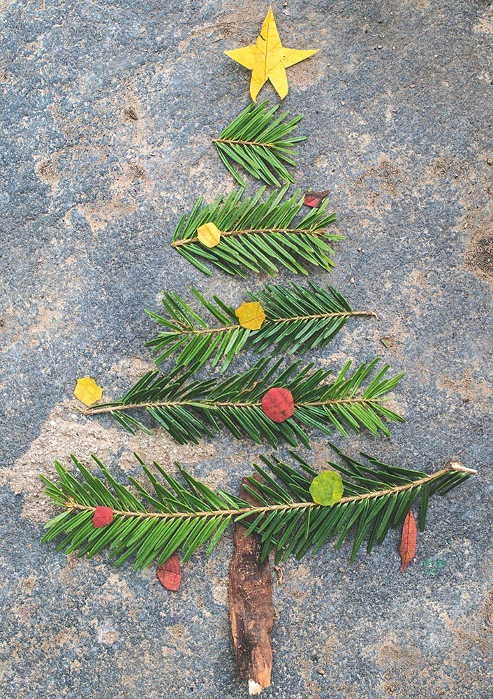 Produktabbildung: Tannenbaum