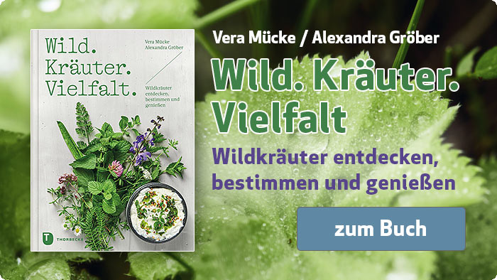 Vera Mücke und Alexandra Gröber: Wild. Kräuter. Vielfalt - Wildkräuter entdecken, bestimmen und genießen