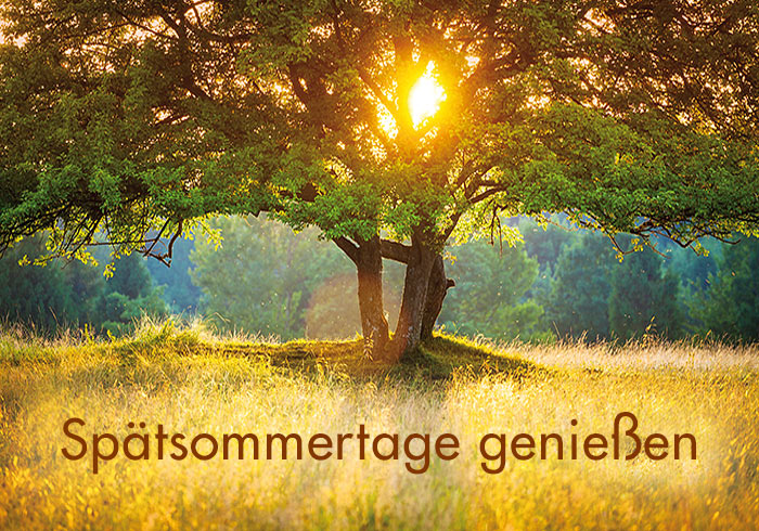 Spätsommertage genießen