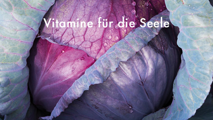 weiße Schrift Vitamine für die Seele - im Hintergrund ein Rotkohl