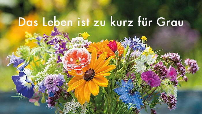 zur Themenseite Das Leben ist zu kurz für Grau weiße Schrift Das Leben ist zu kurz für Grau - im Hintergrund ein vielfarbiger Wiesenblumenstrauß
